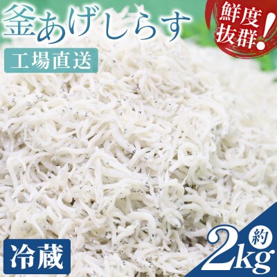 【冷蔵】釜揚げしらす(ちりめん) 約2kg しらす干し しらす mu-0017