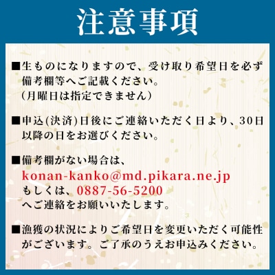 【冷蔵】釜揚げしらす(ちりめん) 約2kg しらす干し しらす mu-0017