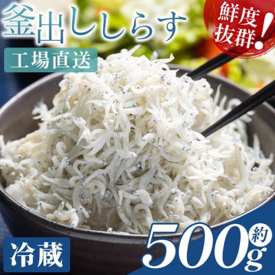 【冷蔵】釜出ししらす(ちりめん) 約500g しらす mu-0009