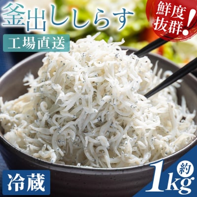 【冷蔵】釜出ししらす(ちりめん) 約1kg しらす mu-0010