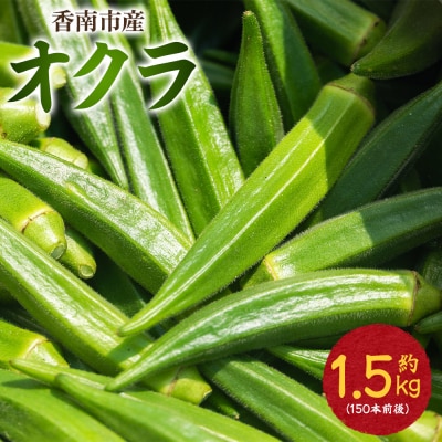 オクラ1.5kg(150本前後) - おくら 野菜 やさい 夏野菜 新鮮 朝採れ on-0029