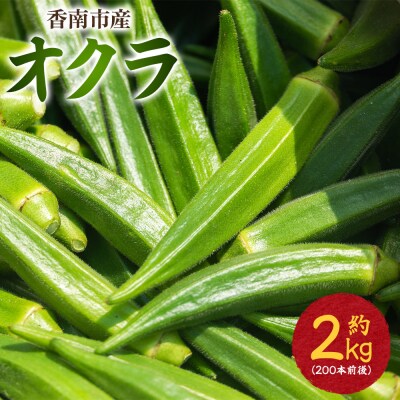 【2026年発送分】オクラ2kg(200本前後) - おくら オクラ 野菜 夏野菜 on-0034