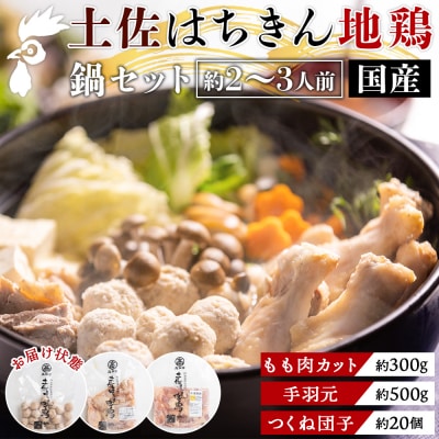 土佐はちきん地鶏 鍋セット 約2〜3人前 地鶏 鶏肉 ad-0001