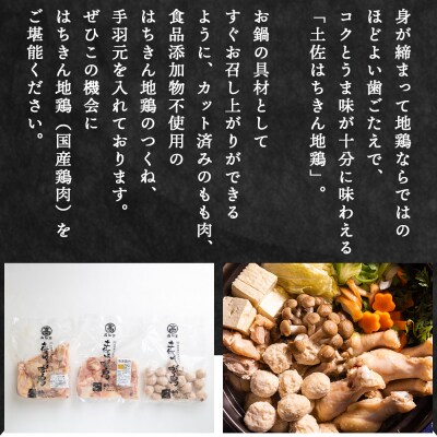 土佐はちきん地鶏 鍋セット 約2〜3人前 地鶏 鶏肉 ad-0001