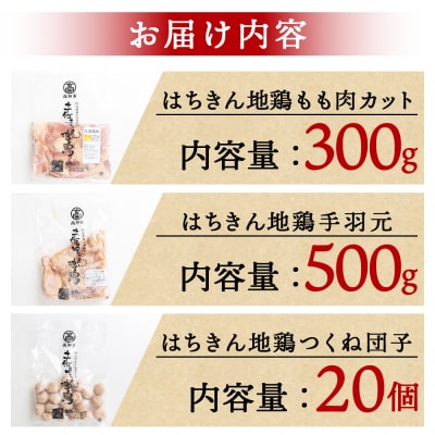 土佐はちきん地鶏 鍋セット 約2〜3人前 地鶏 鶏肉 ad-0001