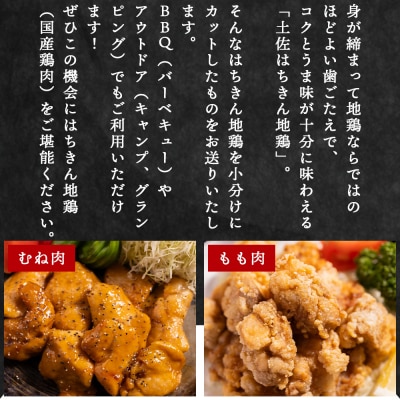 土佐はちきん地鶏 もも肉・むね肉 合計1kgセット 室戸海洋深層水塩付 鶏肉 地鶏 ad-0005