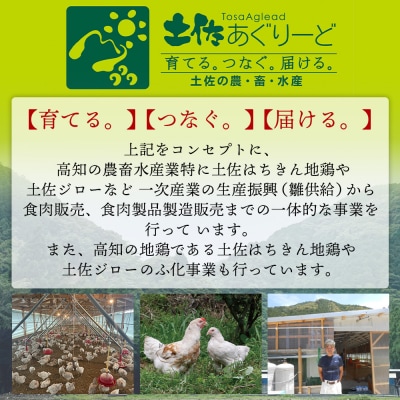 土佐はちきん地鶏 もも肉・むね肉 合計1kgセット 室戸海洋深層水塩付 鶏肉 地鶏 ad-0005