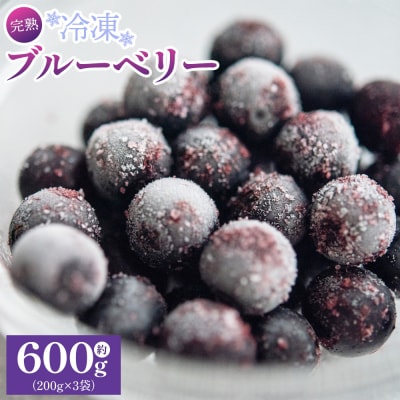 完熟 冷凍ブルーベリー 約600g(200g×3) 小分け yg-0027