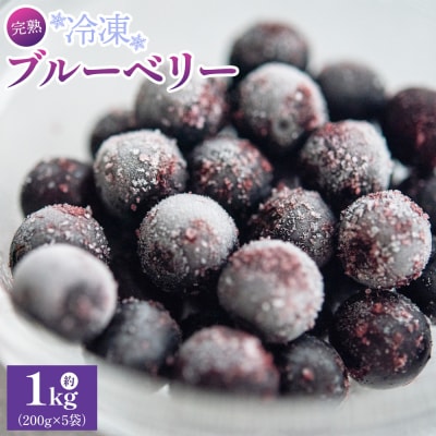 完熟 冷凍ブルーベリー 約1kg(200g×5) 小分け yg-0028