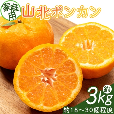山北ポンカン 訳あり 3kg(約18～30個程度) ぽんかん 訳あり yk-0055