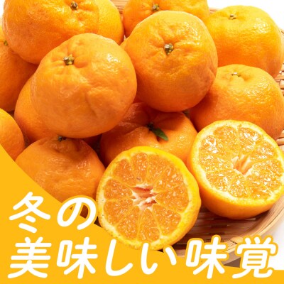 ポンカン訳あり3kg 3キロ 山北 yk-0082