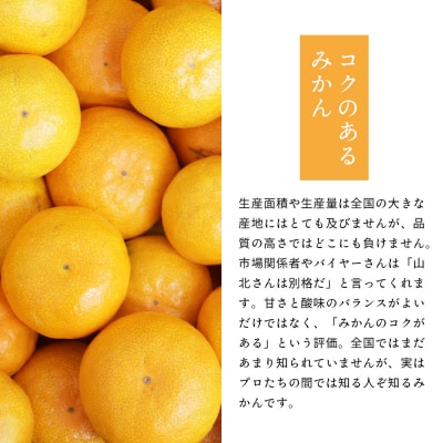山北プレミアムみかん 1/100(サイズ:S) 1.2kg 約16玉入り yk-0056