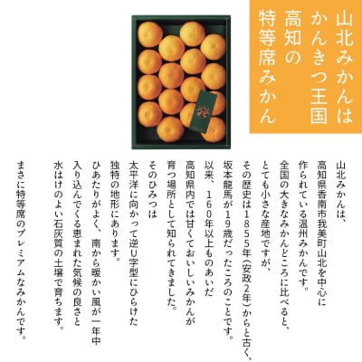 山北プレミアムみかん 1/100(サイズ:S) 1.2kg 約16玉入り yk-0069