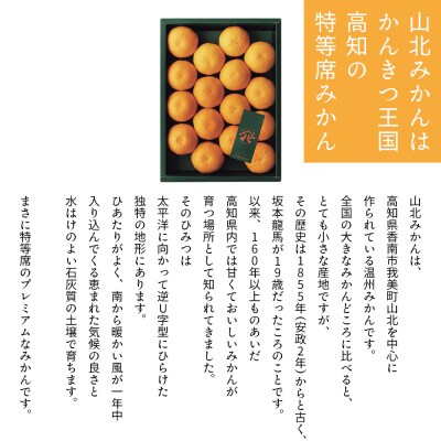 山北プレミアムみかん 1/100(サイズ:S) 1.2kg 約16玉入り yk-0069