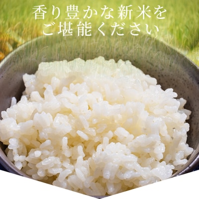 新米 コシヒカリ 約5㎏(令和7年8月収穫) db-0039