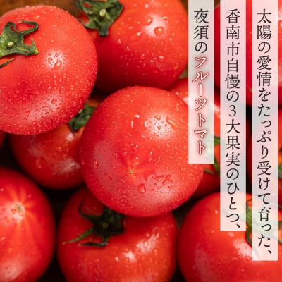 【3回定期便】フルーツトマト 高知 2kg 夜須のフルーツトマト 先行受付 Wyu-0078