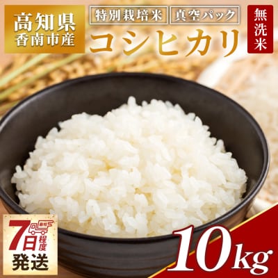 【7日程度で発送】特別栽培米 コシヒカリ 10kg 無洗米 nu-0004