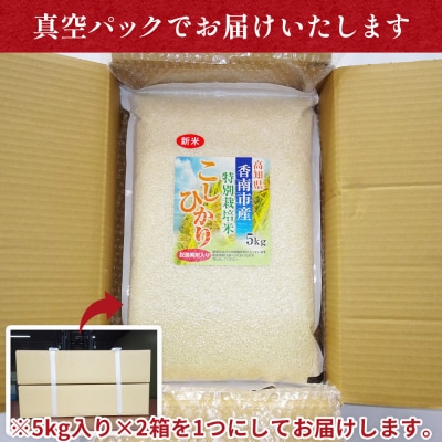 【7日程度で発送】特別栽培米 コシヒカリ 10kg 無洗米 nu-0004