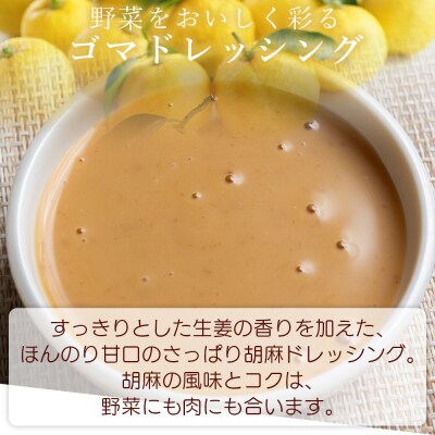 胡麻スッたらうまいで生姜 3本セット(200ml×3) ごまドレッシング 生姜 kc-0004