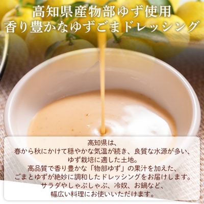 蔵屋幸右衛門 ゆずごま 2本(200ml×2本) ごまドレッシング 調味料 ad-0008