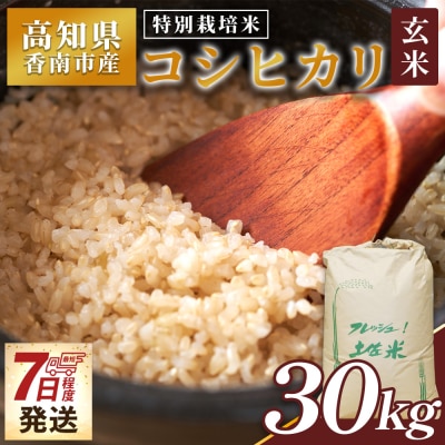 【7日程度で発送】特別栽培米 コシヒカリ 玄米 30kg 新米 白米 コシヒカリ 米 nu-0005