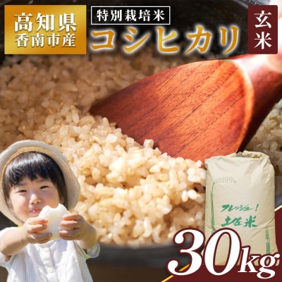 特別栽培米 コシヒカリ 玄米 30kg 新米 白米 コシヒカリ 米 nu-0009