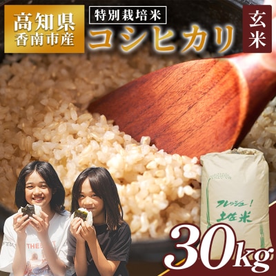 【30kg】玄米 特別栽培米 コシヒカリ 令和8年産 真空パック 備蓄 30キロ 米 nu-0010