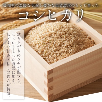 【7日程度で発送】特別栽培米 コシヒカリ 玄米 30kg 令和7年産 nu-0010