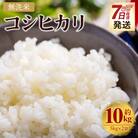 【7営業日程度で発送】コシヒカリ 無洗米 10kg cs-0002