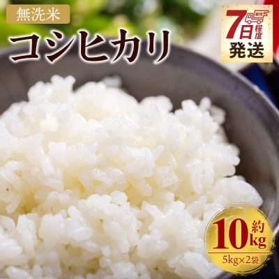 コシヒカリ 無洗米 10kg cs-0001