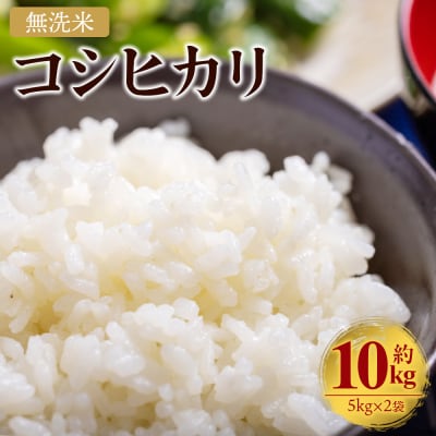 コシヒカリ 無洗米 10kg cs-0002