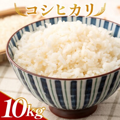 夜須町産　コシヒカリ　5kg ga-0007