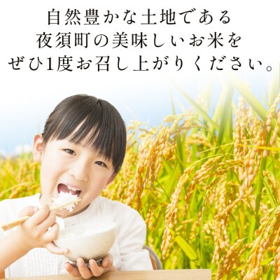 夜須町産　コシヒカリ　5kg ga-0007
