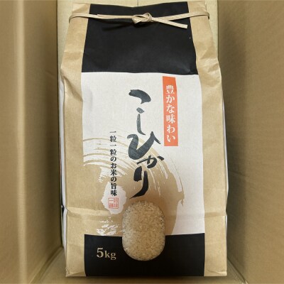 夜須町産　コシヒカリ　5kg ga-0007