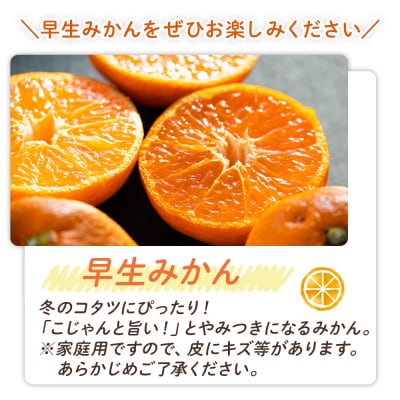 【みかん 定期便】土佐乃かなやのみかん5kg(S～Lサイズ)×3回 合計15kg Wbe-0127