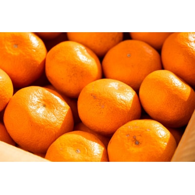 【みかん 定期便】土佐乃かなやのみかん5kg(S～Lサイズ)×3回 合計15kg Wbe-0127