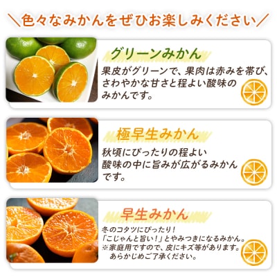 【みかん定期便4回】土佐乃かなやの家庭用みかん5kg(Lサイズ)×4回 計20kg Wbe-0123