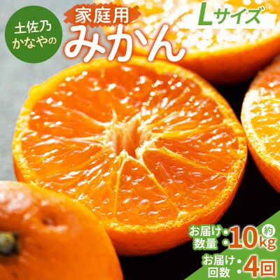 【みかん定期便4回】土佐乃かなやの家庭用みかん10kg(Lサイズ)×4 計40kg Wbe-0092