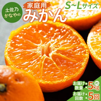 【みかん定期便 5回】土佐乃かなやのみかん5kg(S～Lサイズ)×5回 計25kg Wbe-0096