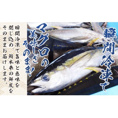 マグロの刺身 スライス(80g×5袋) - 国産 さしみ 食べやすい 海鮮丼 漬け丼 nz-0047