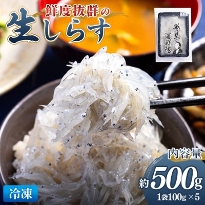 鮮度抜群「生しらす」 100g×5袋 瞬間冷凍 nz-0092