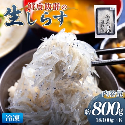 鮮度抜群「生しらす」 100g×8袋 瞬間冷凍 nz-0093