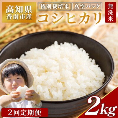 2������ ������ ���ʍ͔|�� �R�V�q�J�� 2kg Wnu-0006