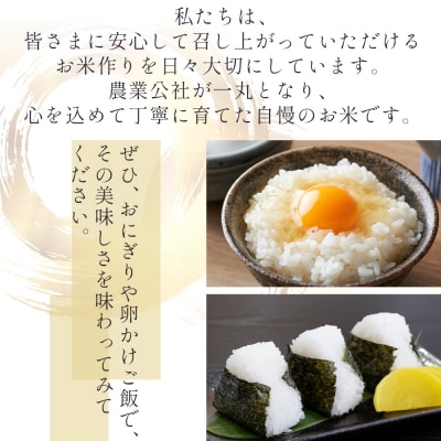 【2回定期便】無洗米 特別栽培米 コシヒカリ 5kg 令和7年産 Wnu-0007