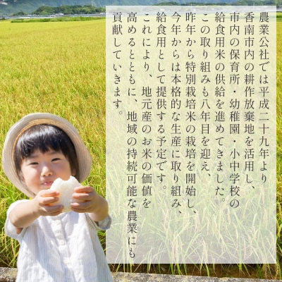 【2回定期便】無洗米 特別栽培米 コシヒカリ 5kg 令和7年産 Wnu-0007