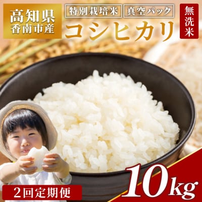 �y2�����ցz������ ���ʍ͔|�� �R�V�q�J�� 10kg Wnu-0008