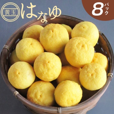花柚子 はなゆ黄玉 8パック 国産 柚子 hy-0003