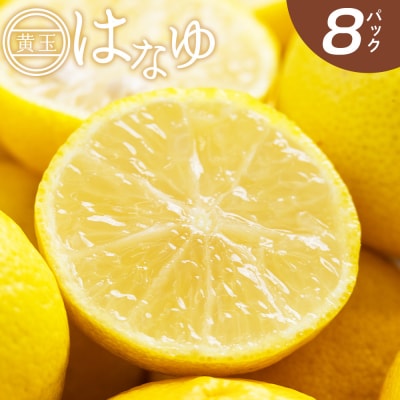 <2026年11月以降順次配送>花柚子 はなゆ黄玉 8パック 国産 柚子 hy-0003