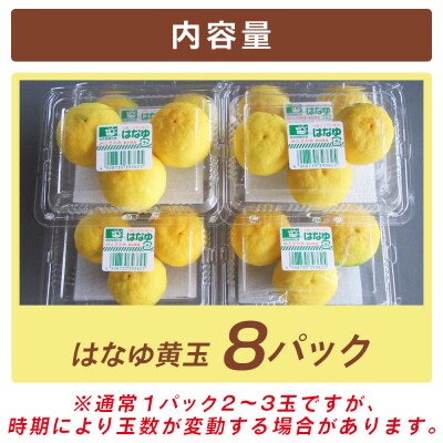 花柚子 はなゆ黄玉 8パック 国産 柚子 hy-0003