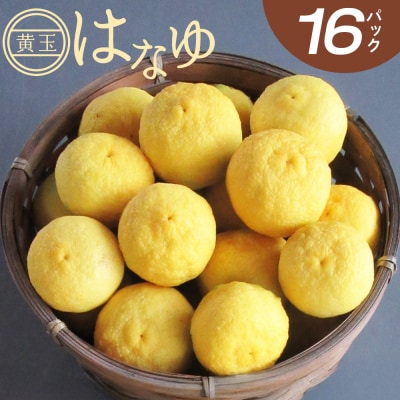 花柚子 はなゆ黄玉 16パック 国産 柚子 hy-0004